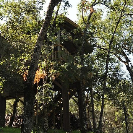 Los Nidos De Santa Maria Arroyo Frio Exterior foto