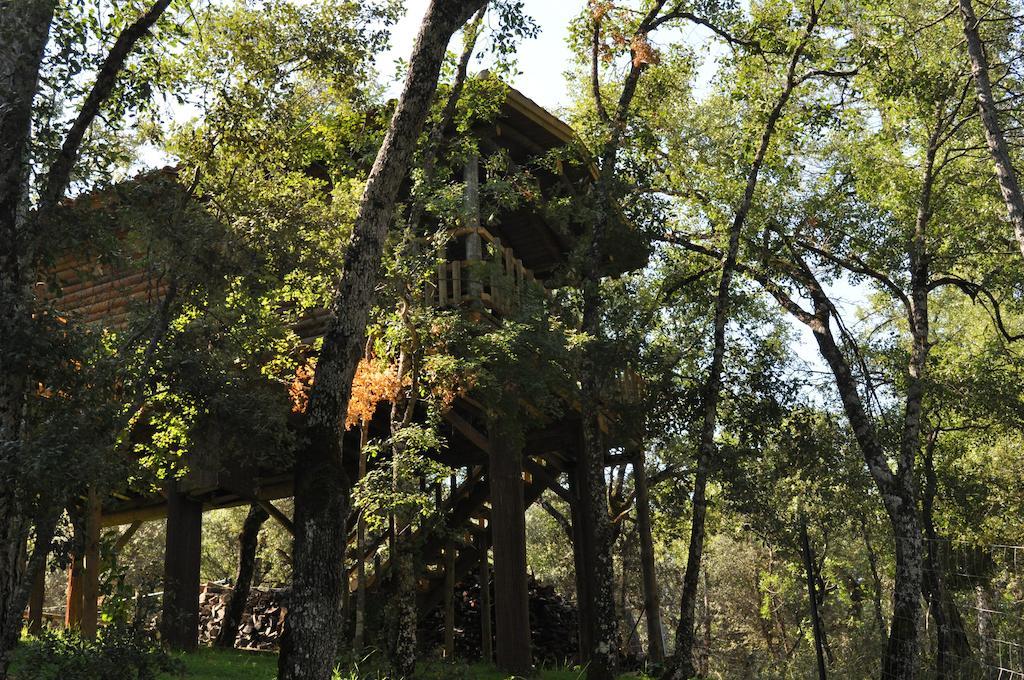Los Nidos De Santa Maria Arroyo Frio Exterior foto